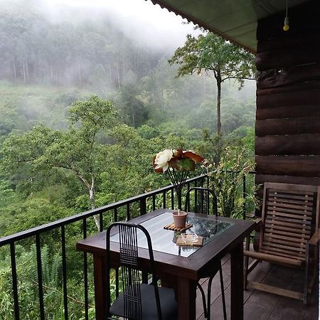 إيلا Green Lushy Home Stay المظهر الخارجي الصورة