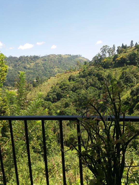 إيلا Green Lushy Home Stay المظهر الخارجي الصورة