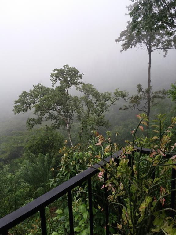 إيلا Green Lushy Home Stay المظهر الخارجي الصورة