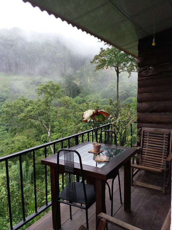 إيلا Green Lushy Home Stay المظهر الخارجي الصورة