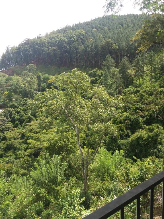 إيلا Green Lushy Home Stay المظهر الخارجي الصورة