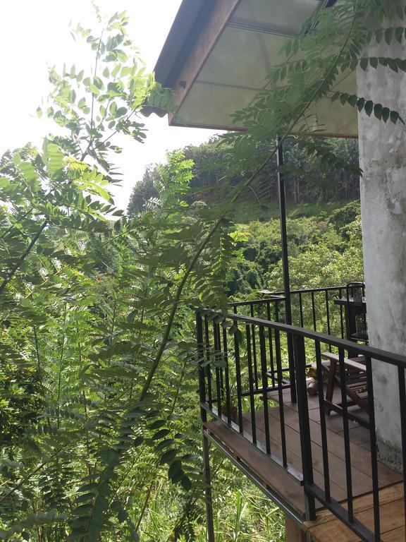 إيلا Green Lushy Home Stay المظهر الخارجي الصورة