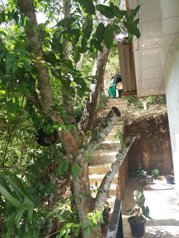 إيلا Green Lushy Home Stay المظهر الخارجي الصورة