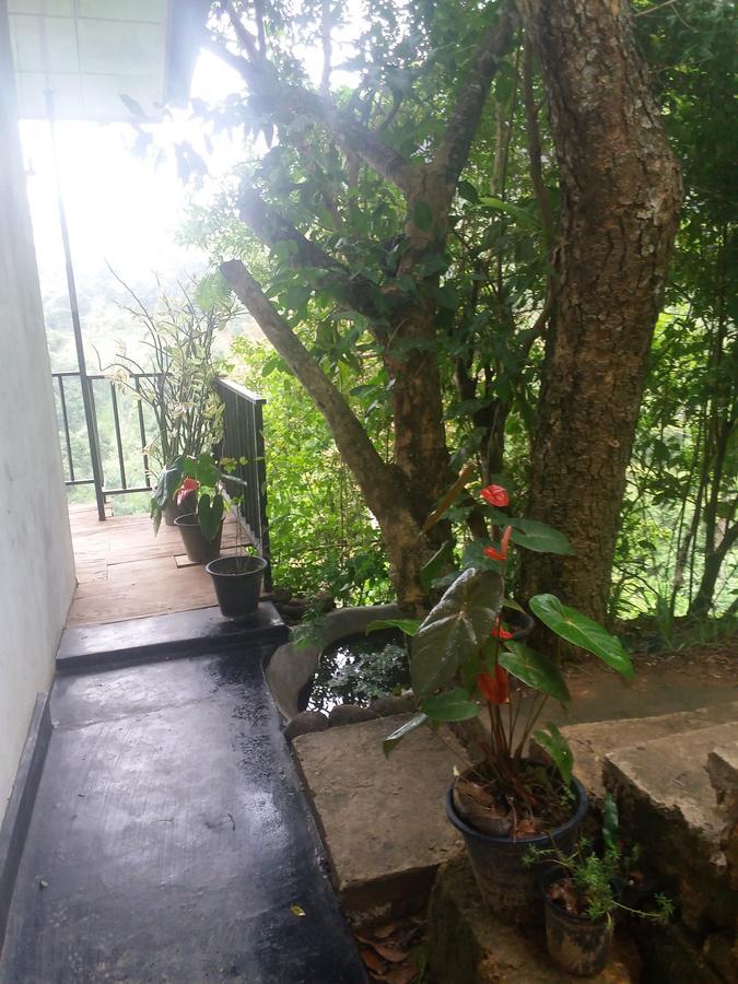 إيلا Green Lushy Home Stay المظهر الخارجي الصورة