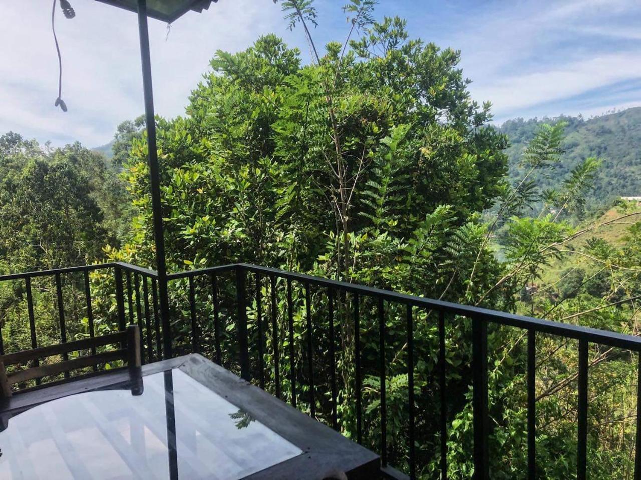 إيلا Green Lushy Home Stay المظهر الخارجي الصورة